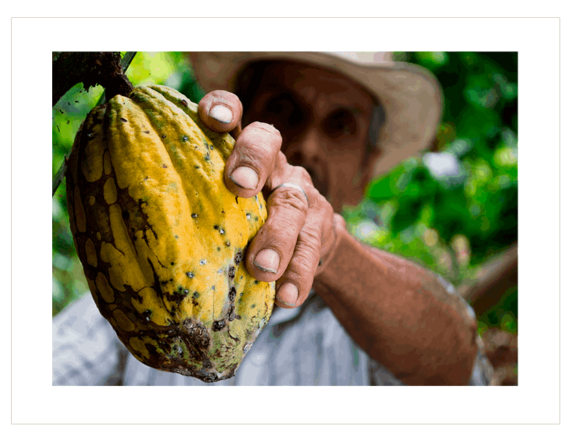 Chocolatera Moctezuma 